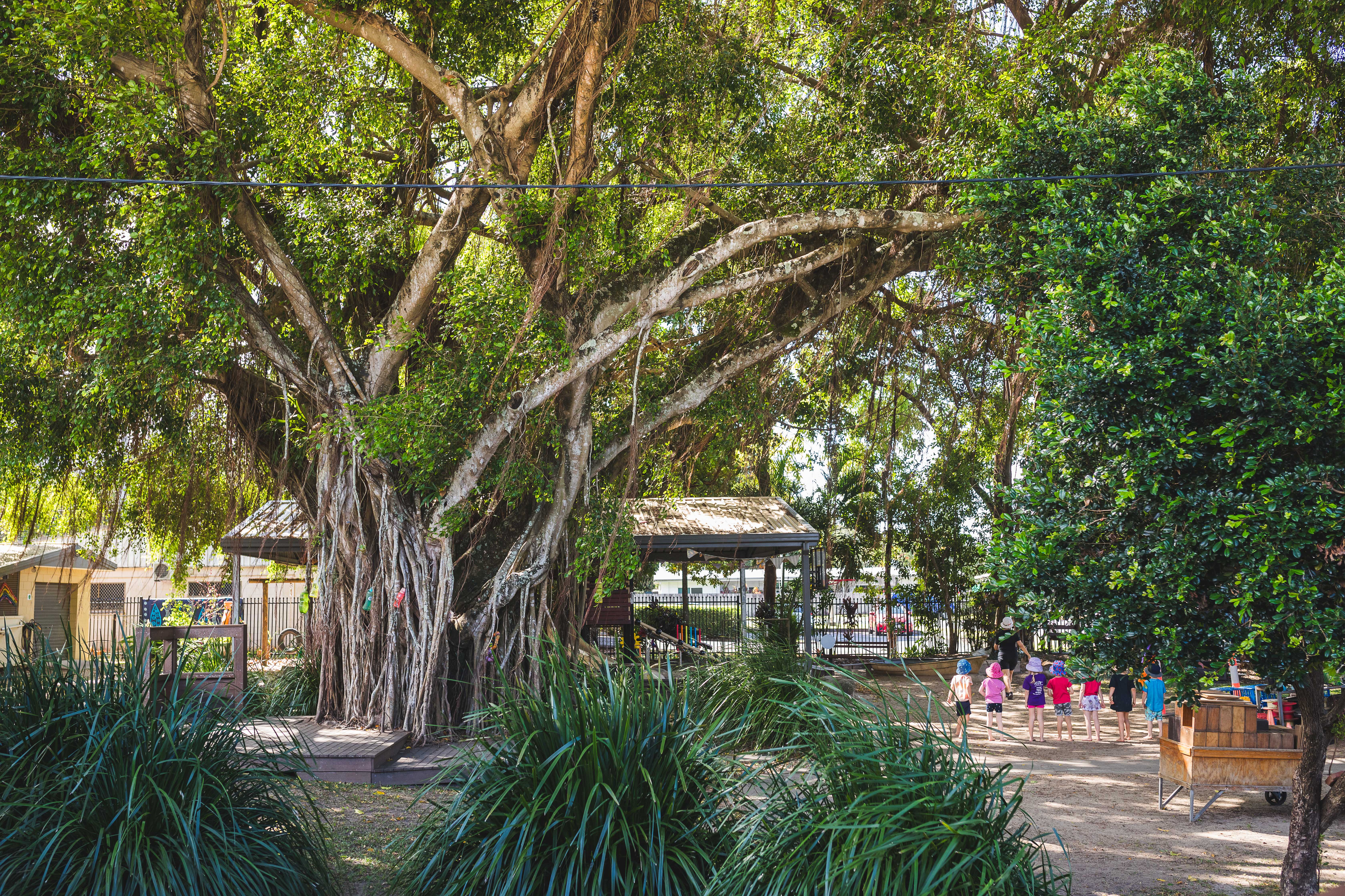 Bayview Heights leafy outdoor space