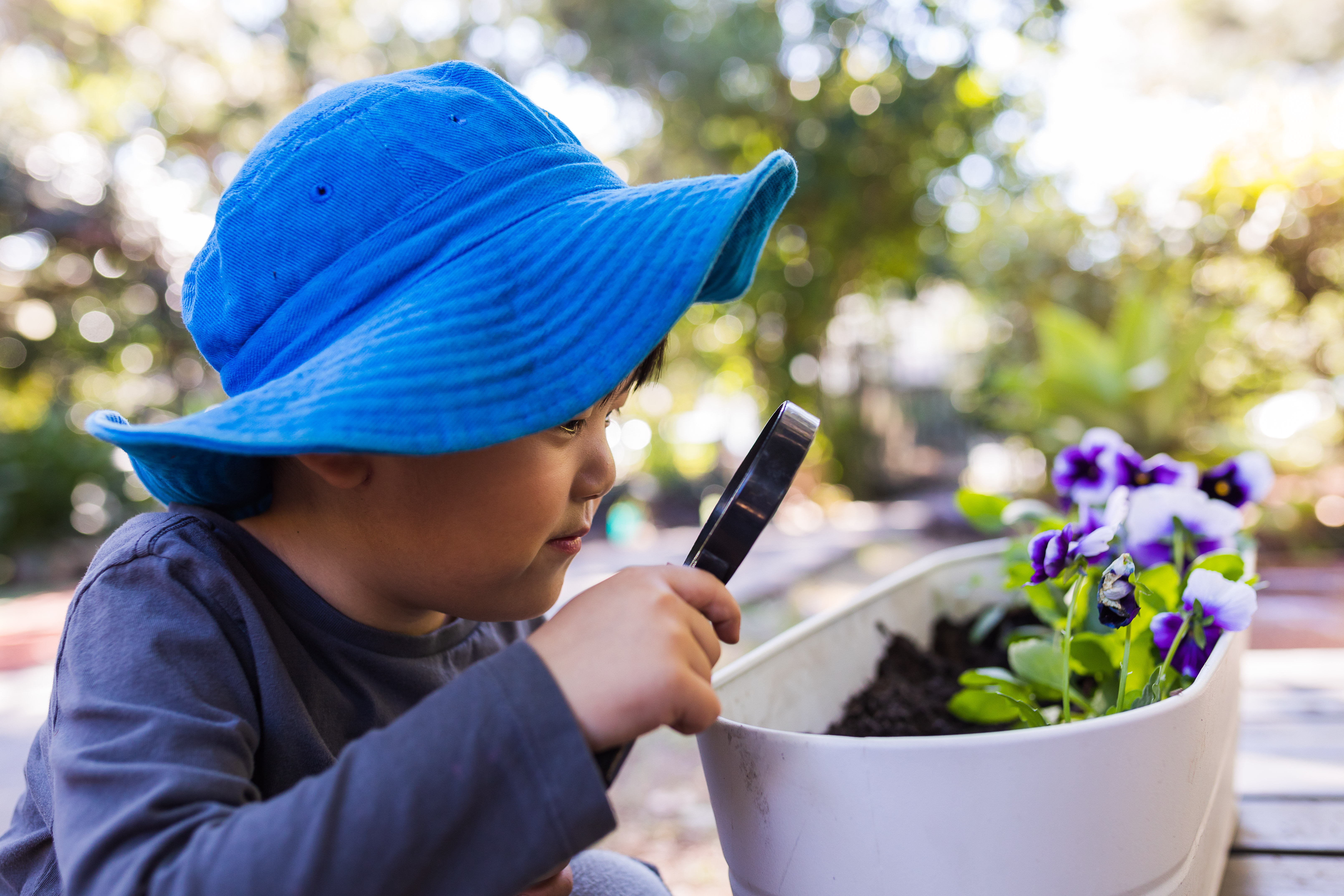 child inspecting flowers outside