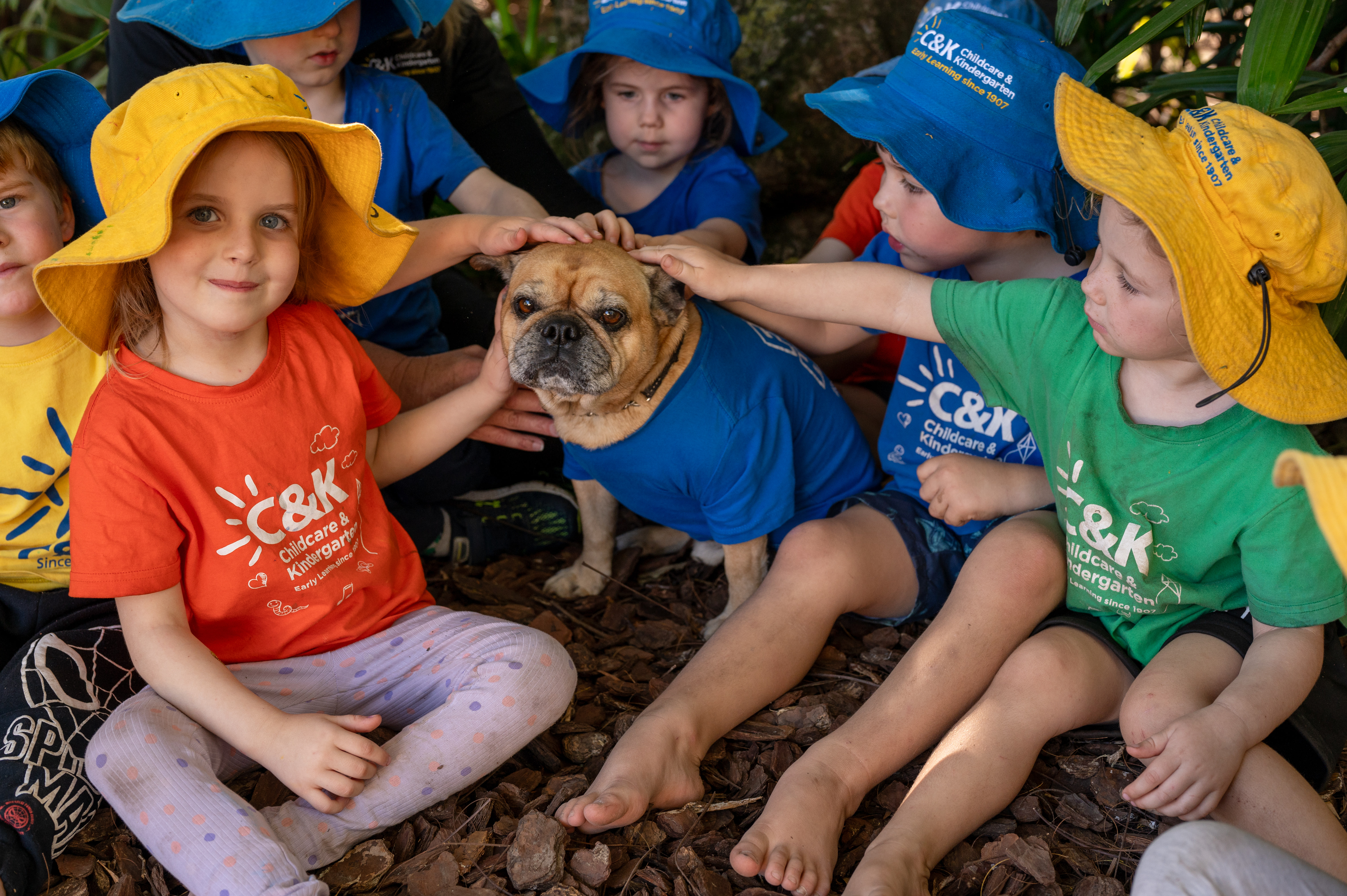 children patting kindy dog Frank